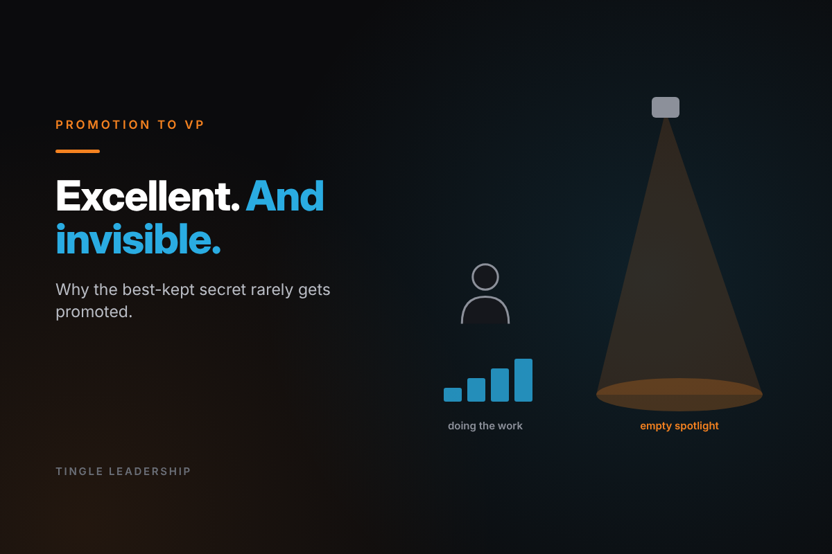 Promotion to VP: Excellent. And invisible. Tingle Leadership blog graphic.